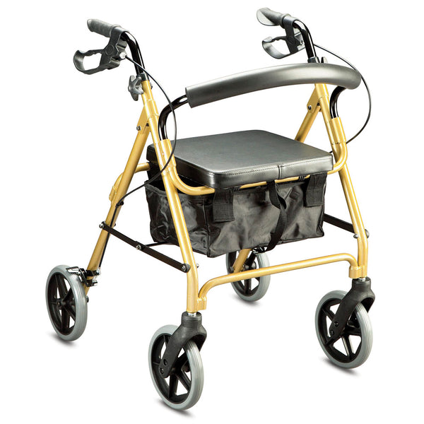 Care Quip Trekker Walker - Blaxland Day and Night Pharmacy